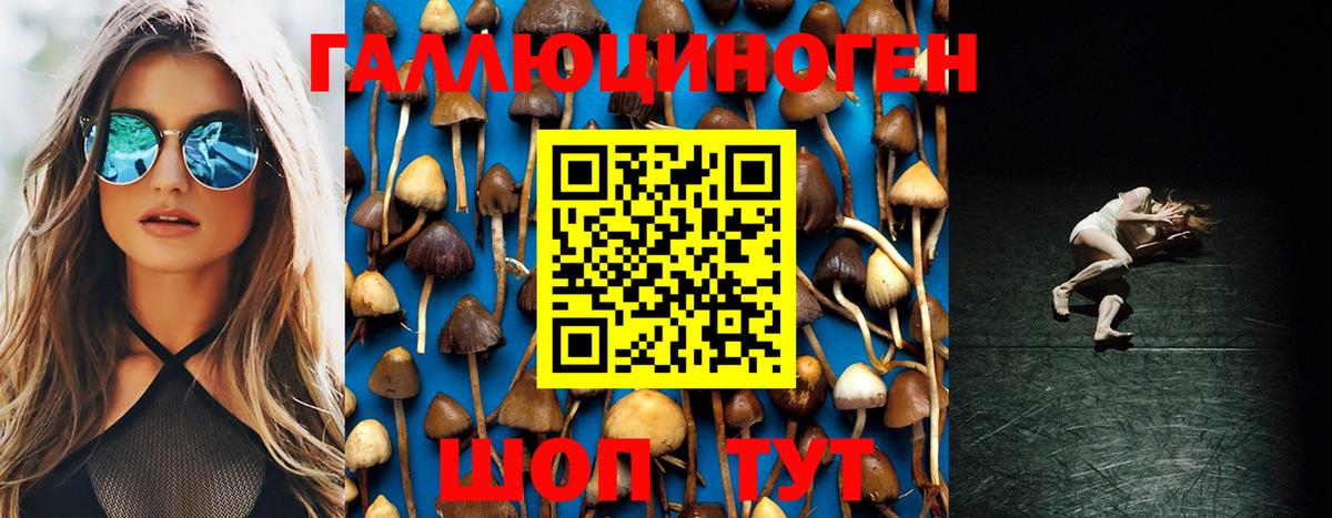 Менделеевск  Галлюциногенные грибы Cubensis  Вход с VPN 