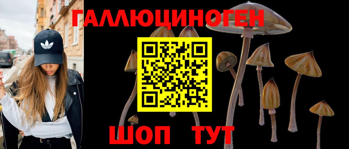 Галлюциногенные грибы Psilocybe Менделеевск